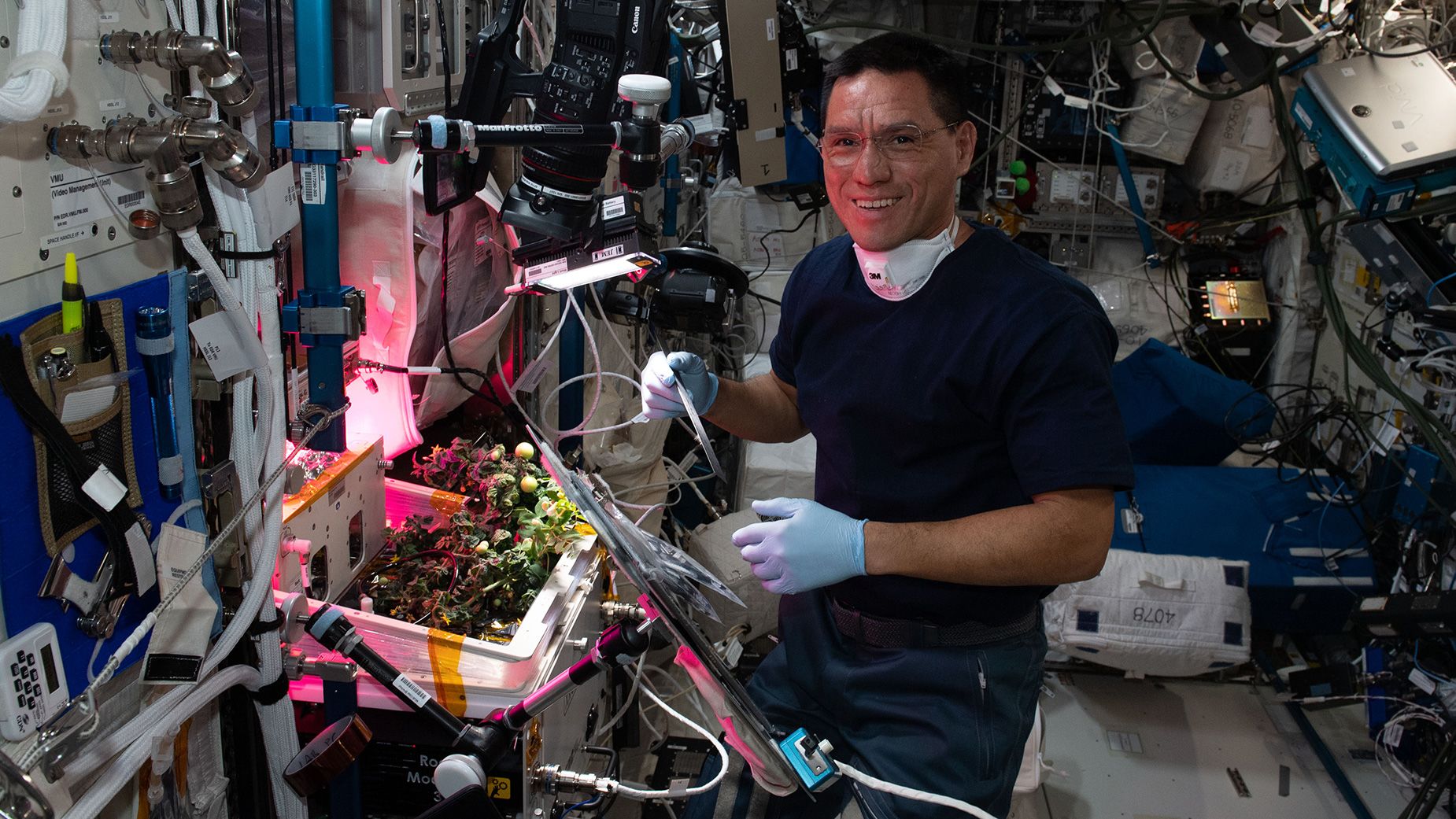 NASA astronaut Frank Rubio checks tomato plants inside the International Space Station in October 2...