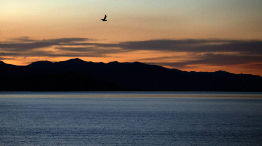 A bird flies over the Great Salt Lake as seen from Antelope Island at sunset on Monday, June 5, 202...