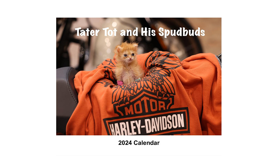 The Tater Tot calendar from Kitty CrusAIDe....