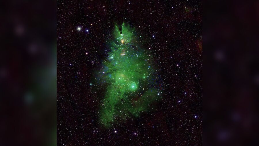 A new composite image showcases the “Christmas Tree Cluster” of young stars located about 2,500...