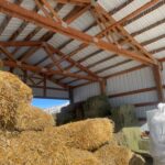 The Friends in Need Animal Rescue needs more hay to help the animals through winter. (Shelby Lofton/KSL TV)