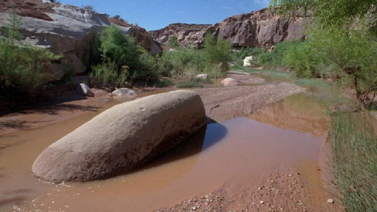 Fort Pearce Wash in St. George. A Bountiful man believed to be treasure hunting has been charged wi...