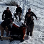 UHP and DWR assets work to relocate Moose near Interstate 80. (Utah DWR) 