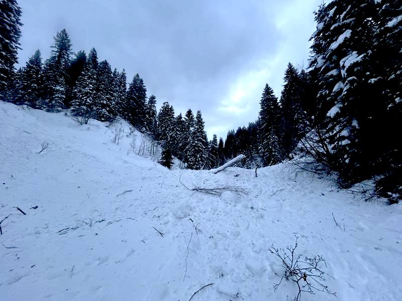 A large avalanche debris pile from Sunday that crossed Millcreek Road on the groomed trail above a closed gate. The UAC issued a warning stating avalanches are occurring in unusual areas and lower elevation terrain. (JW Hall, Utah Avalanche Center)