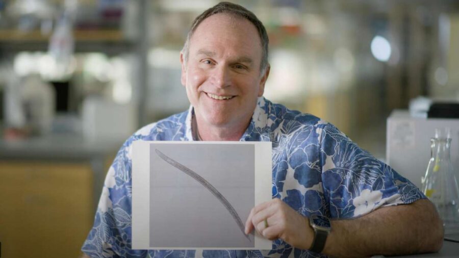 Brigham Young University Professor Byron Adams shows off a picture of Steinemema adamsi,a nematode ...