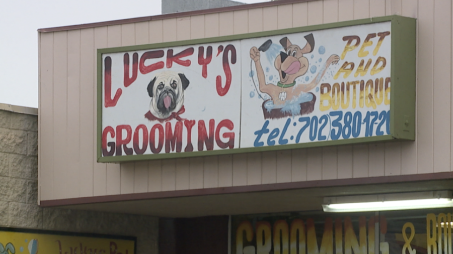 Several dog owners in Las Vegas are accusing a groomer of mistreating their pets. (KTNV)...