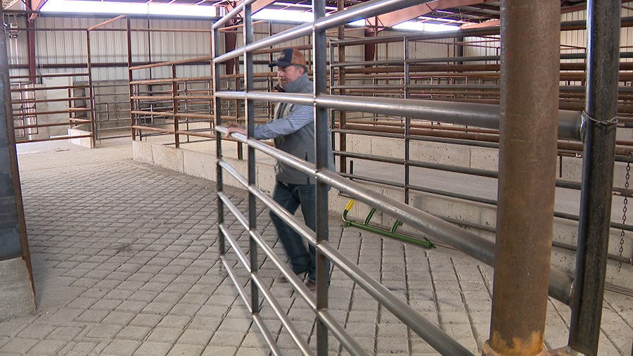 Henry Barlow inside his cattle processing plant...