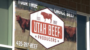 Utah Beef Producers sign