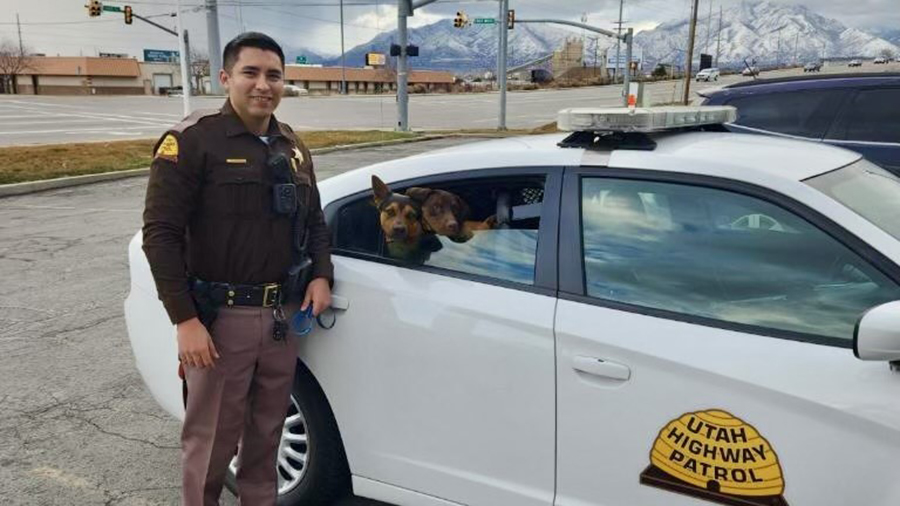 UHP trooper Quintana with the three dogs inside his car...