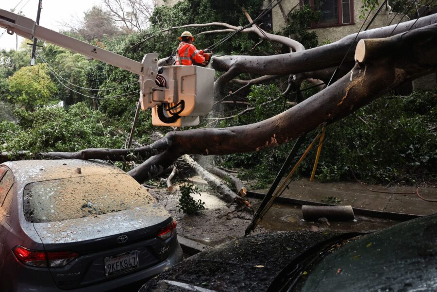 A large tree branch fell, knocking out power and damaging vehicles during a storm on February 19, 2...
