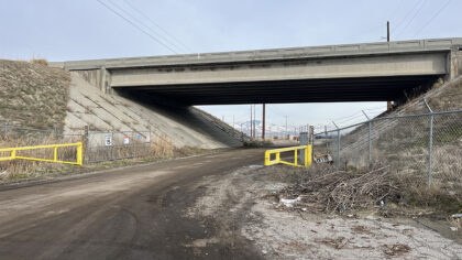 bridge with road running beneath it