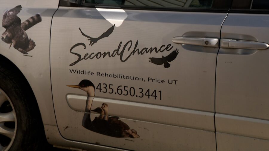 Two nonprofits, including the Second Chance Wildlife Rehabilitation in Price, are stepping up to he...