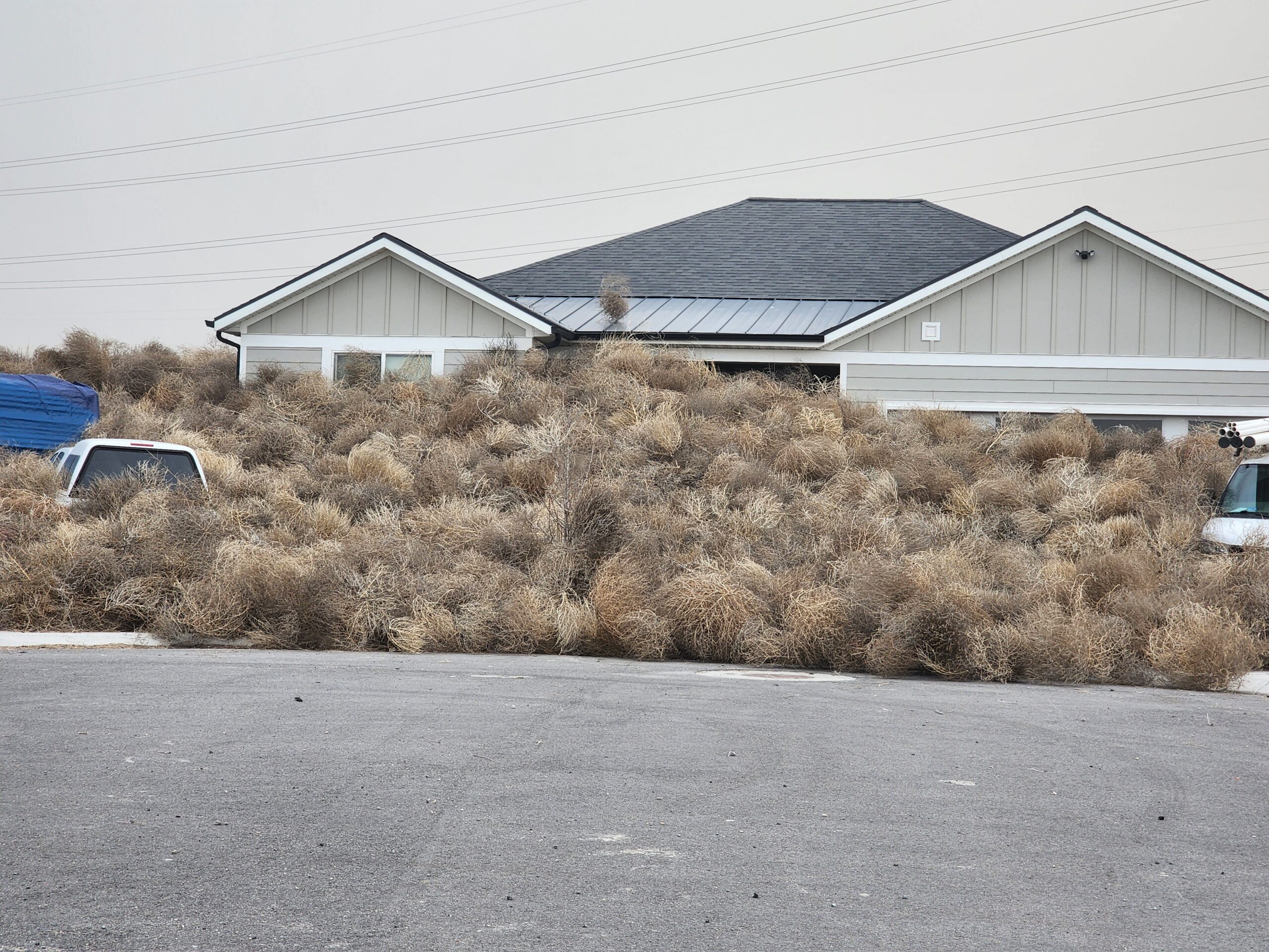 Tumbleweeds surround an Eagle Mountain home on March 2, 2024. (Photo credit: Brennen Katsos)...