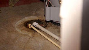 basement sewer water damage