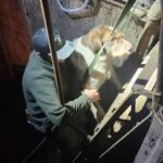Weber County Animal Services animal control officers helping the dog out of the old grain storage bin. (Weber County Animal Services)