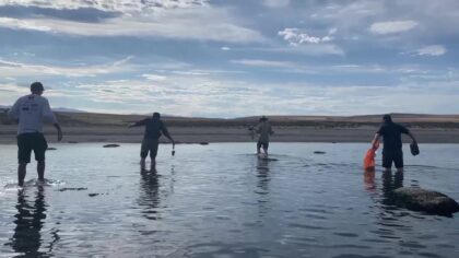 University of Utah researchers searching the sands and waters of the Great Salt lake for samples.