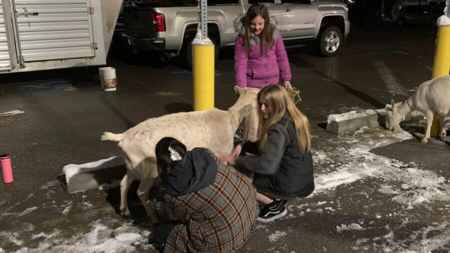 Members of the Stansbury Park community came together Saturday night to help a pair of stranded far...