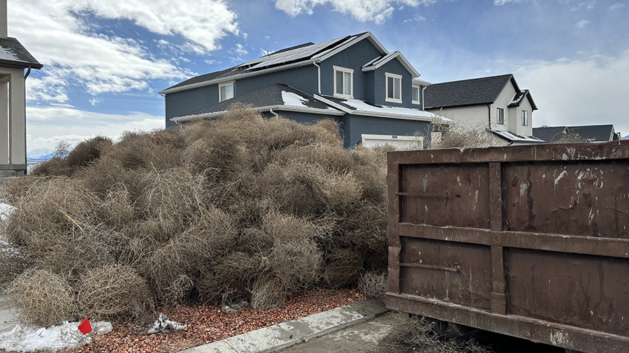 Eagle Mountain homes still cleaning up tumbleweeds, days after the windstorm covered homes....