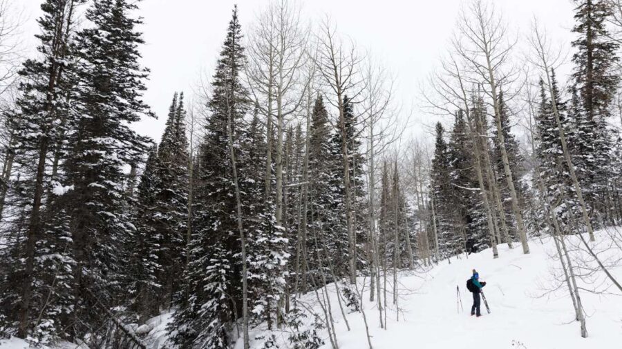 A skier is seen at the Whitepine Trailhead in Alta on March 4. Utah's snowpack reached the state's ...