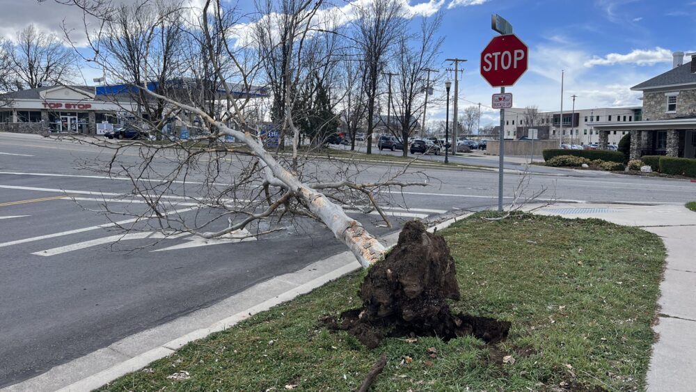 Strong winds continued to batter the Wasatch Front Thursday, March 14, 2024. (Alex Cabrero, KSL TV)...