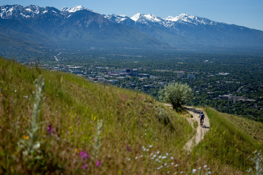 Green grass and wildflowers grow as a cyclist rides on the Bonneville Shoreline Trail in the foothi...
