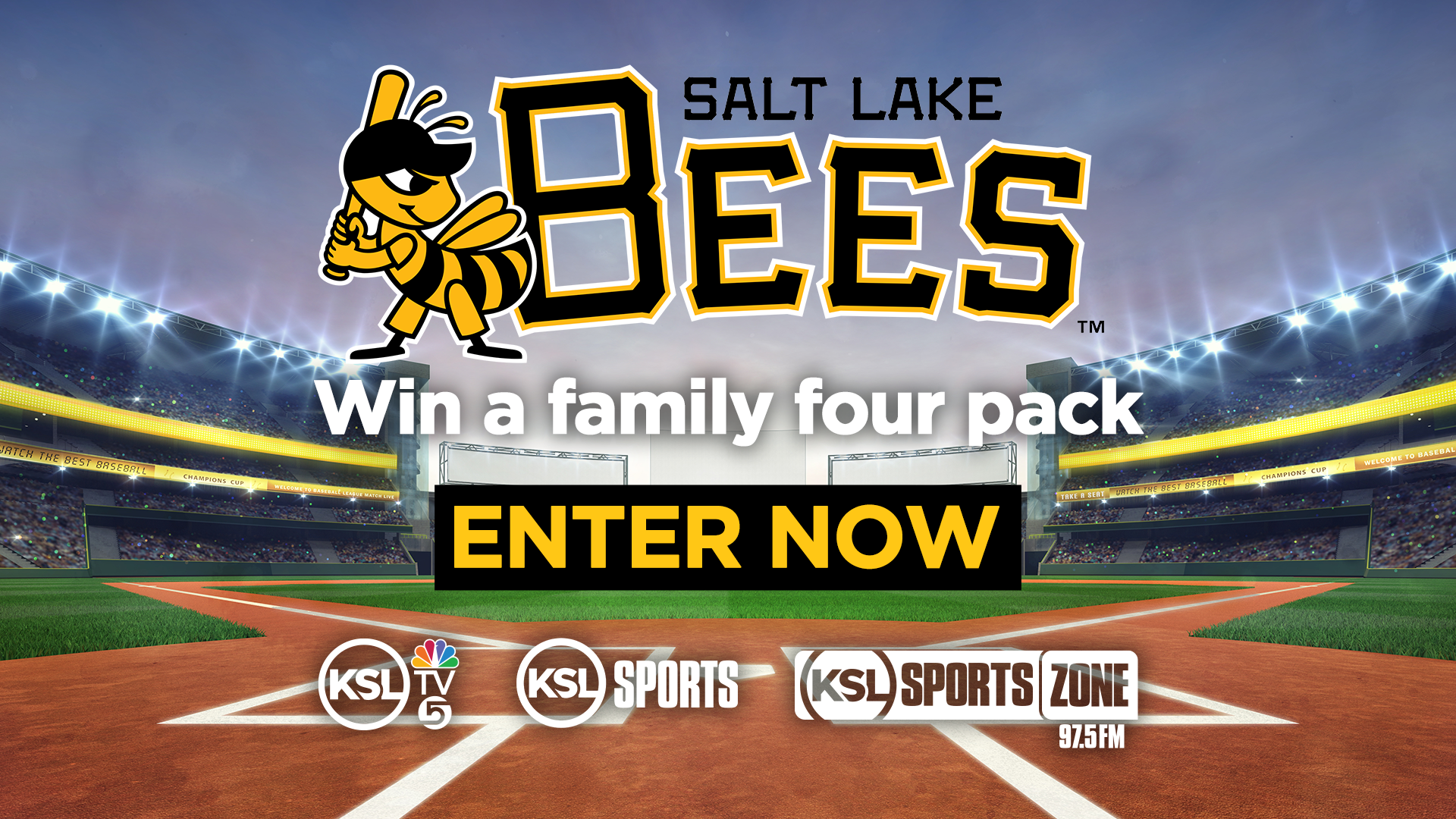 Salt Lake Bees Contest ⚾