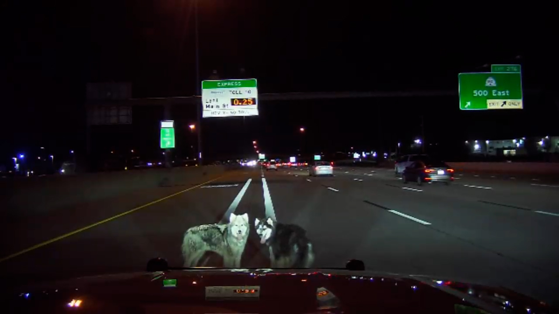 The two huskies being stopped by Utah Highway Patrol troopers while on I-15. (Utah Highway Patrol)...