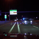 The two huskies being stopped by Utah Highway Patrol troopers while on I-15. (Utah Highway Patrol)