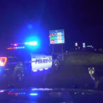 The two huskies being escorted off I-15 by Utah Highway Patrol troopers. (Utah Highway Patrol)