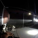 The huskies being cornered by troopers before being taken into custody. (Utah Highway Patrol)