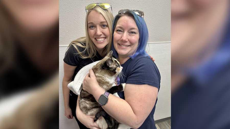 Some Utahns were reunited with their cat after they accidentally shipped it to California with an A...