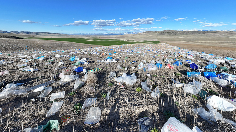 Plastic bags and other trash scattered across Logan farmer's lands after a large windstorm destroye...