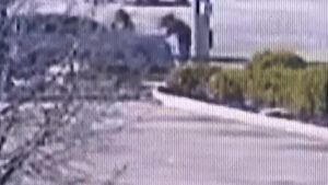 Video showing Viviana being hit by the car.