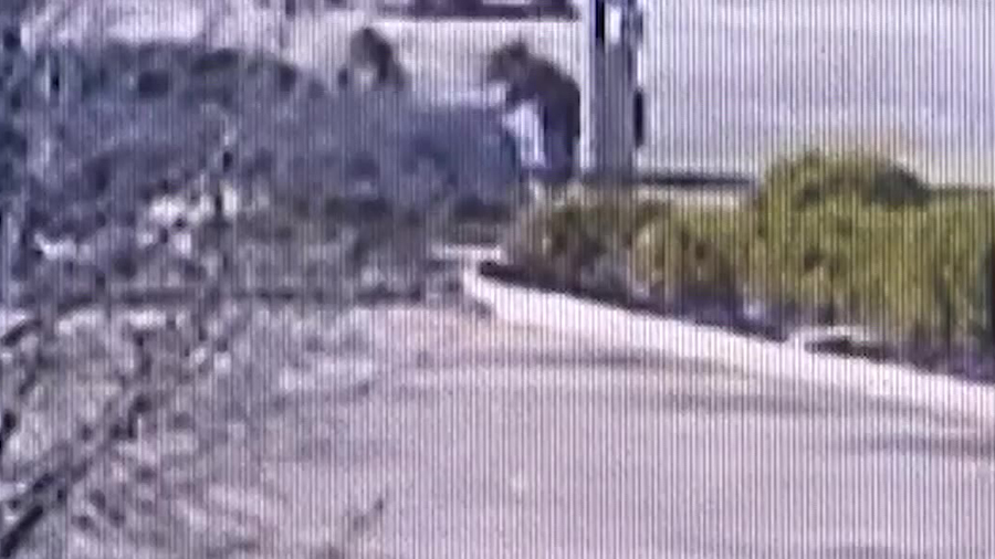 Video showing Viviana being hit by the car....