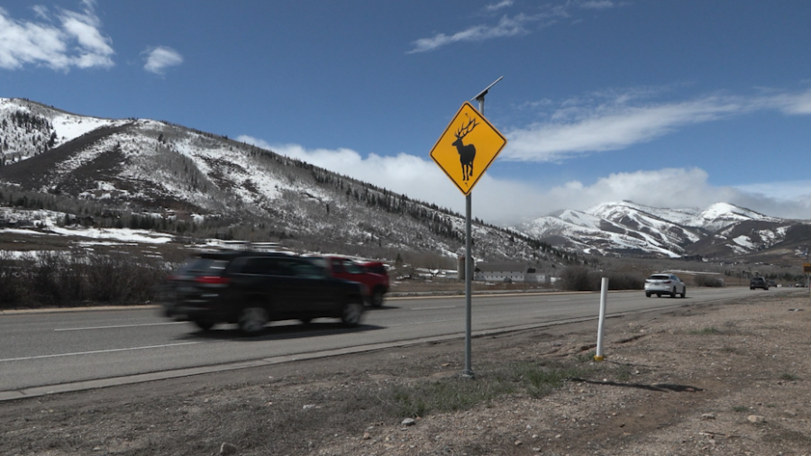 A wildlife group is trying to figure out how to move forward after Utah Department of Transportatio...