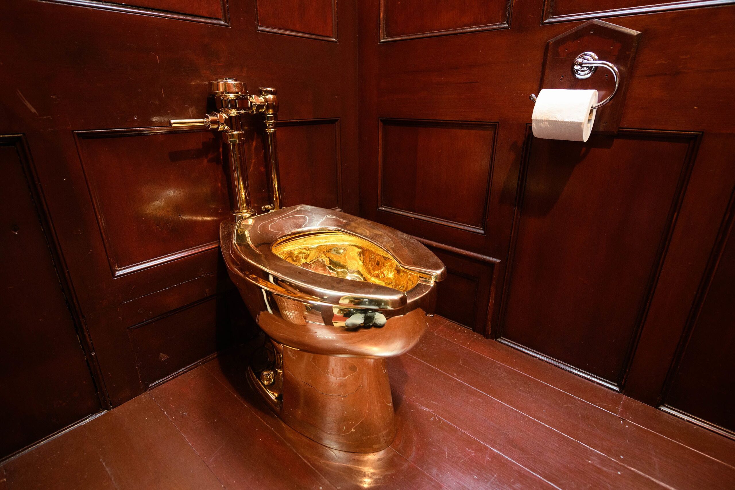 A man has pleaded guilty to stealing a fully-working solid gold toilet created by artist Maurizio C...