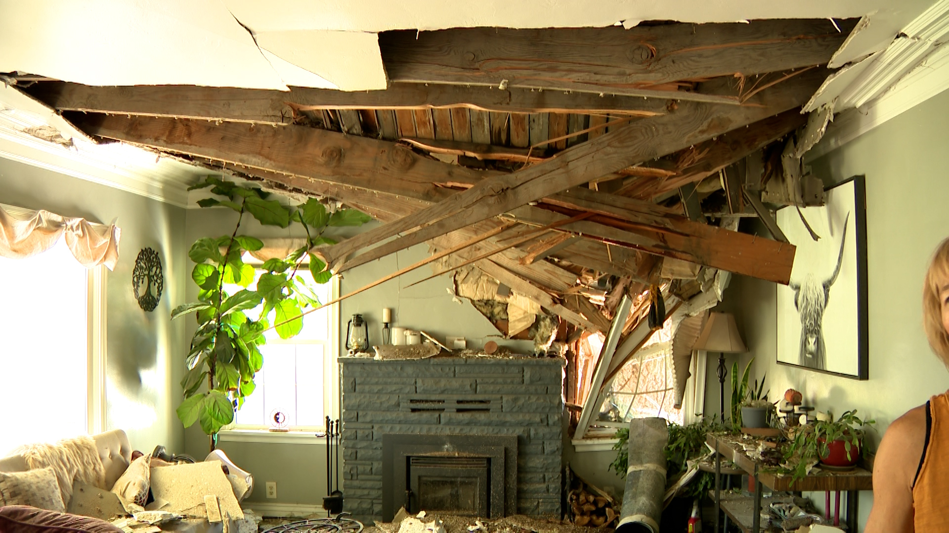 Storm pushes huge tree into house in Layton