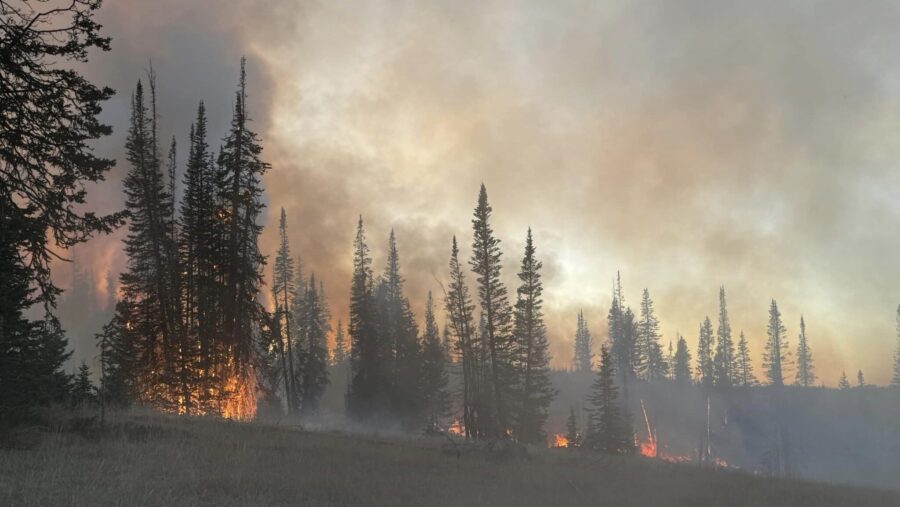 The Yellow Lake Fire started in Wasatch County on Saturday, Sep. 28. (Wasatch Fire)...