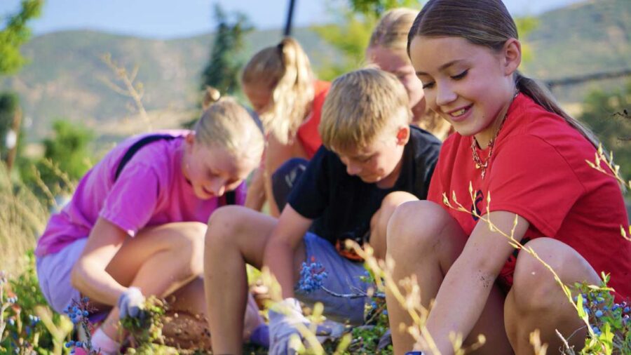 Youth from The Church of Jesus Christ of Latter-day Saints' Centerville South Stake pick weeds at I...