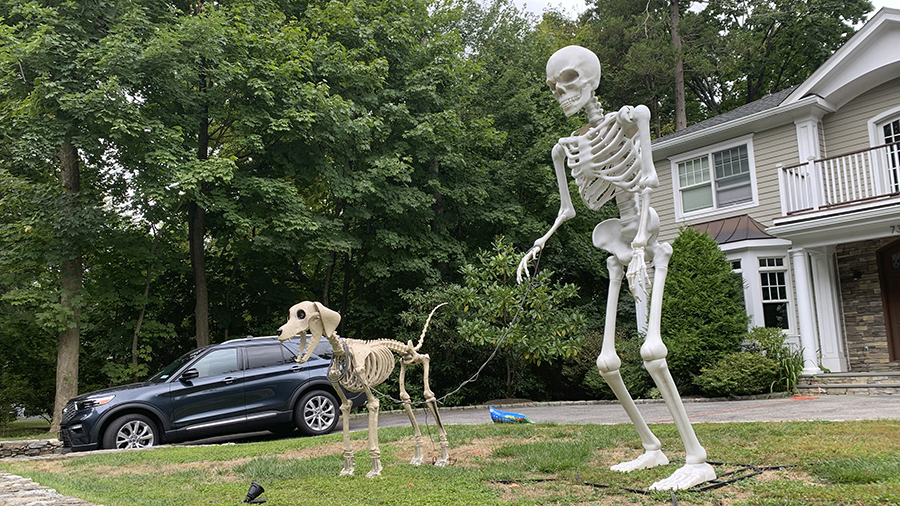 Tall human plastic skeleton with a big dog skeleton...