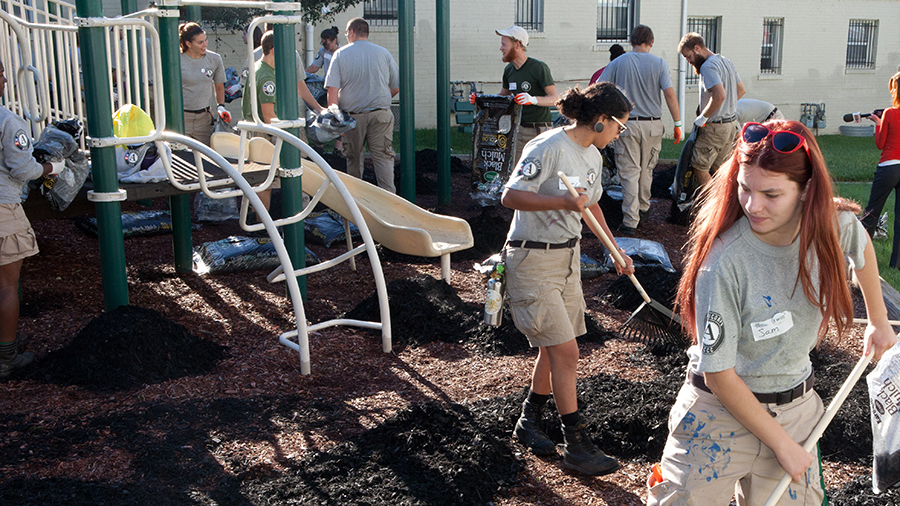 volunteers rake...