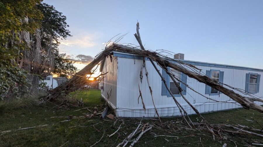 The tree that fell on Tom Lewis' home Tuesday (KSL TV)...