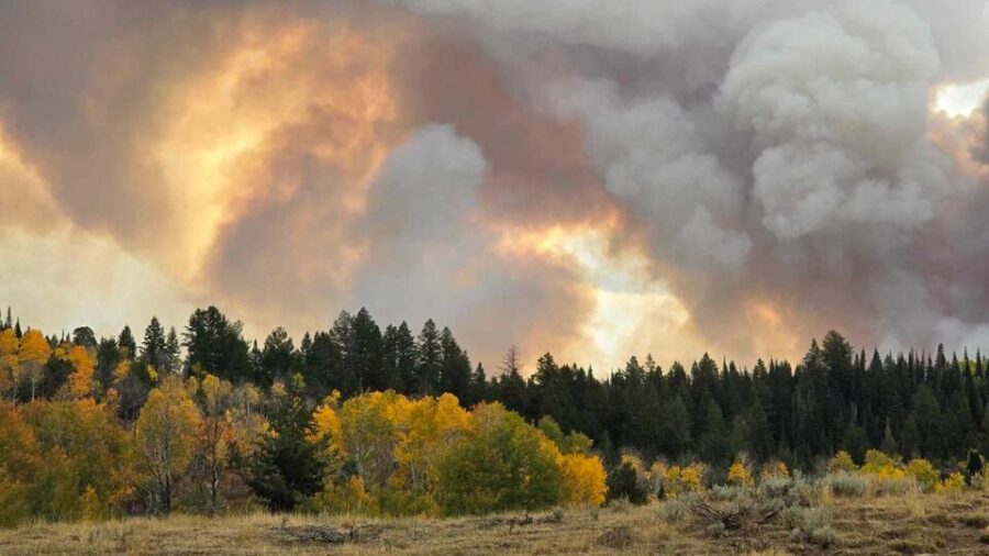 The Yellow Lake Fire in the Uinta mountains as it burned through the fall forestry on Sept. 29, 202...