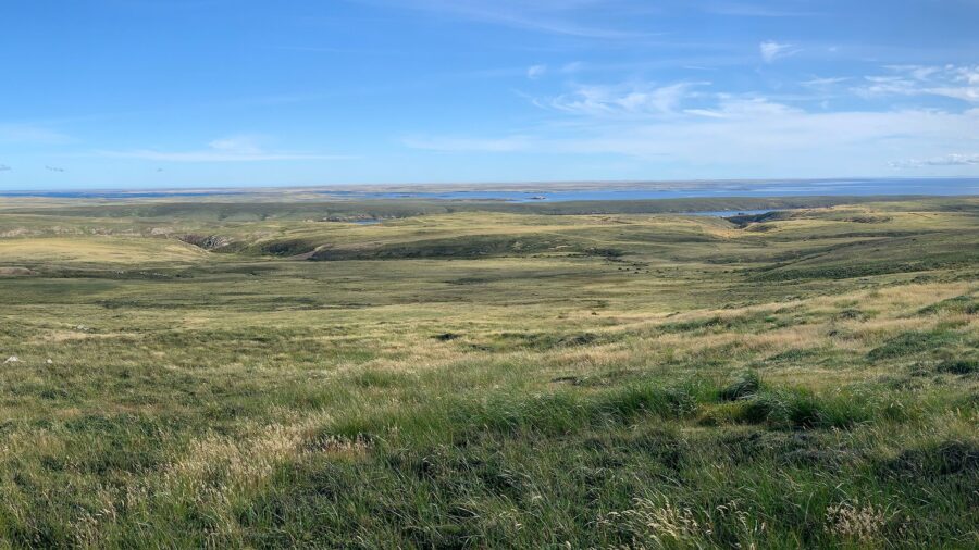 A panoramic view of the Falkland Islands shows a windswept, treeless landscape. Scientists have dis...