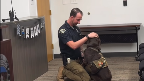 K-9 copper gets an affectionate headpat as she retires from serving in the Public Safety Department...