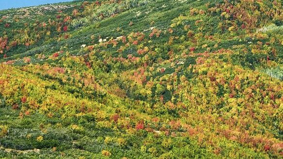 When do temperatures get cooler in Utah?