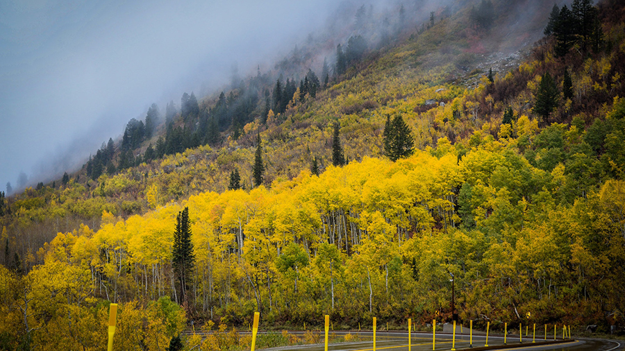 The fall storm in Little Cottonwood Canyon on Oct. 17, 2024....