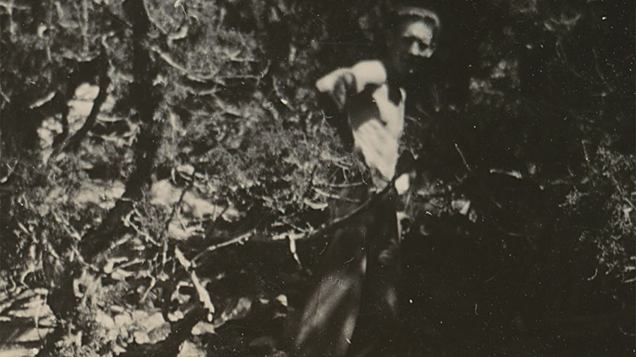 This undated photo shows Lynn Simmons at work in a forested area, possibly the Uinta Mountains. (Co...