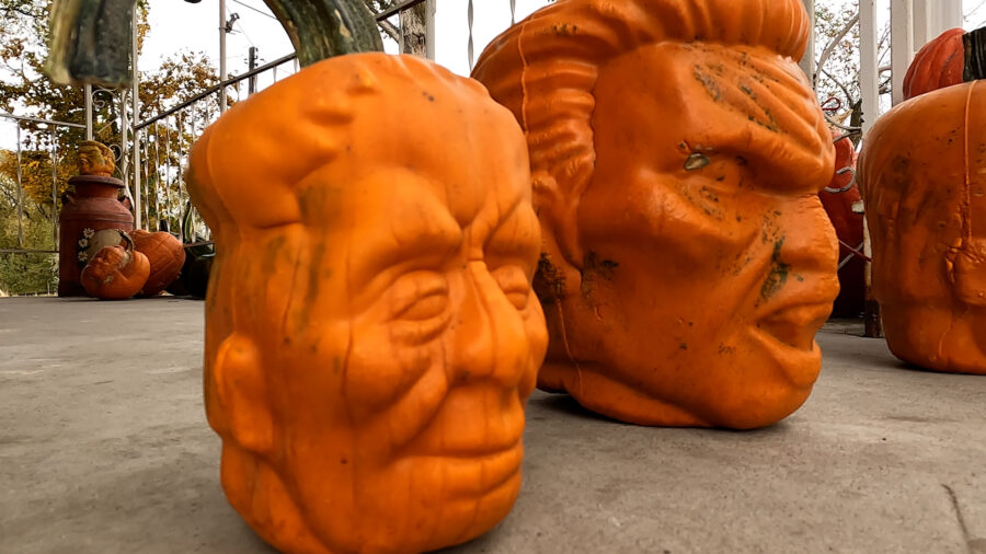 Novelty pumpkins grown at Cache Valley Giant Pumpkins, by Katie and Jim Seamons. (Mike Anderson, KS...