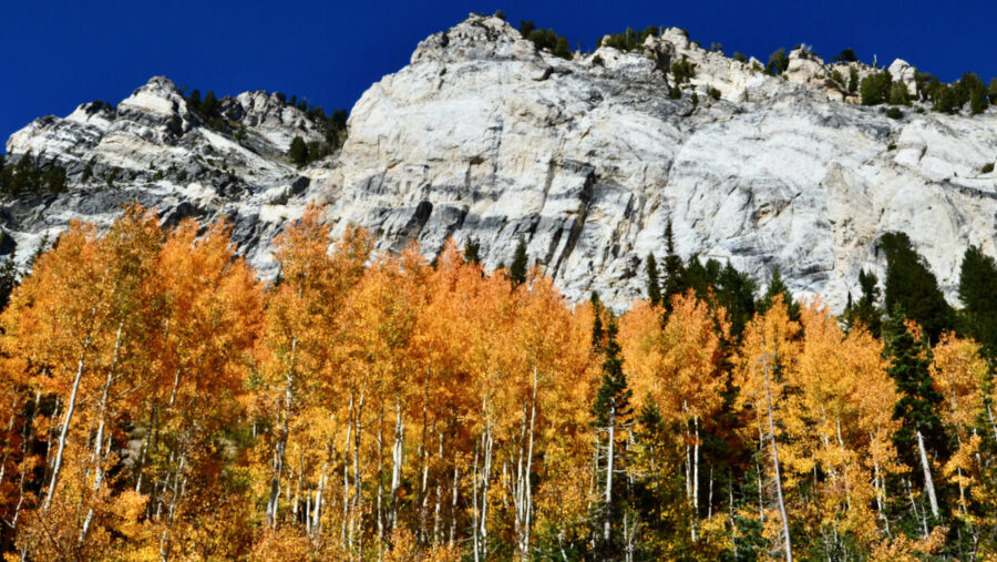 Canyons busy ahead of weather change poised to threaten fall colors